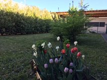 Galerie photo Explosion de couleurs